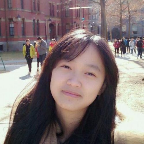 Liu Kaini