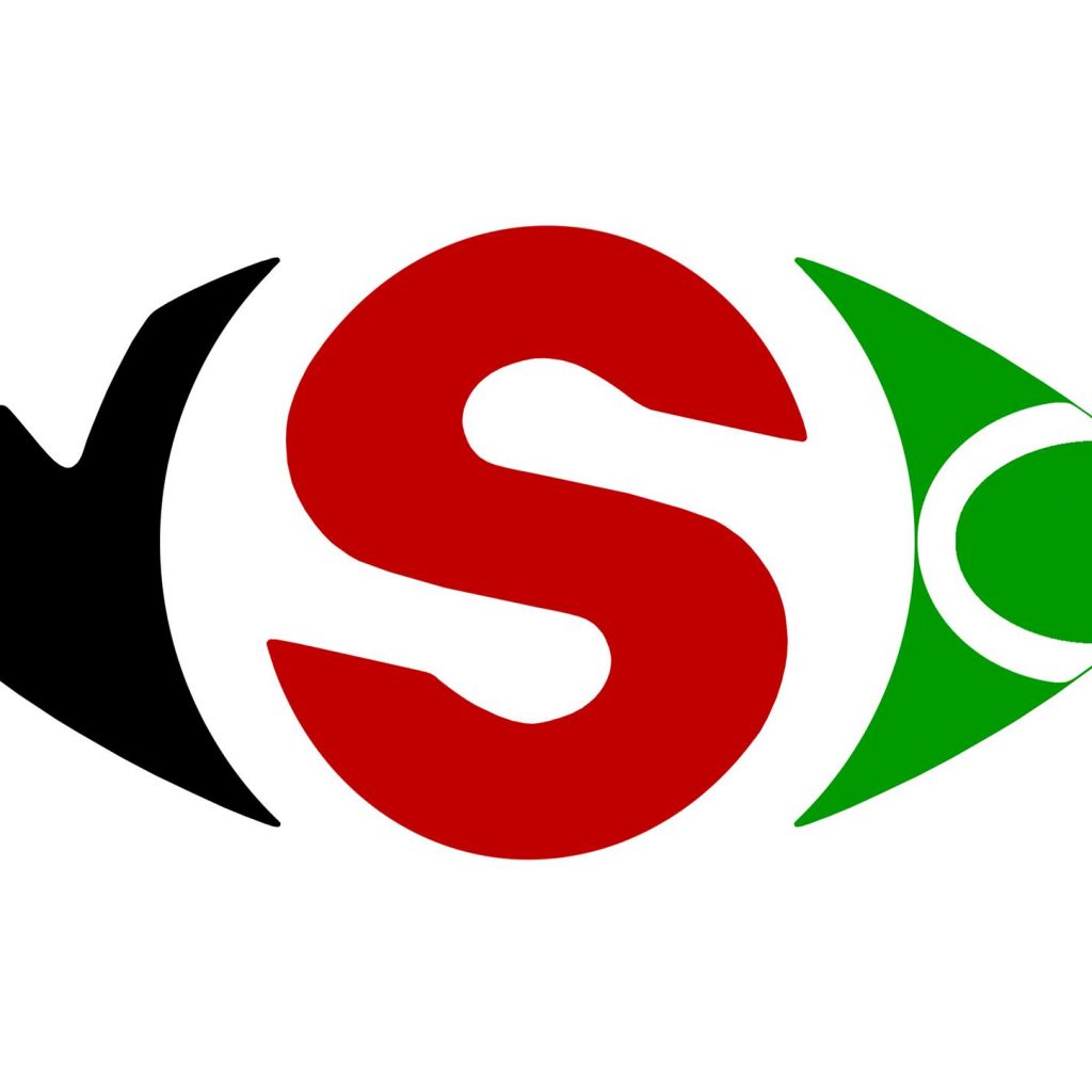 YouSeeClear